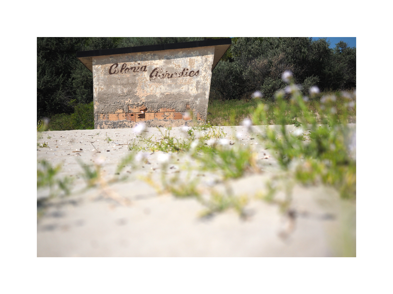 Paradies – 014